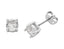 Allegra Silver Earring