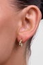 Phoebe Gold Rope Earrings
