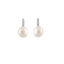 Seasalt Earrings - GOLD