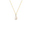 Seasalt Necklace - GOLD